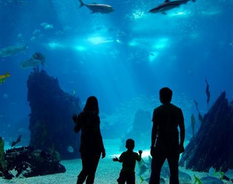 South Carolina Aquarium