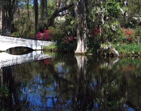 Magnolia Plantation And Gardens