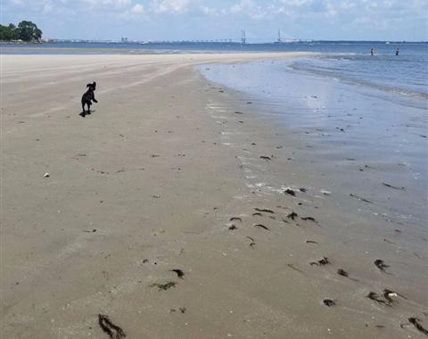 Beaches