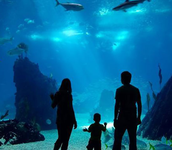 South Carolina Aquarium