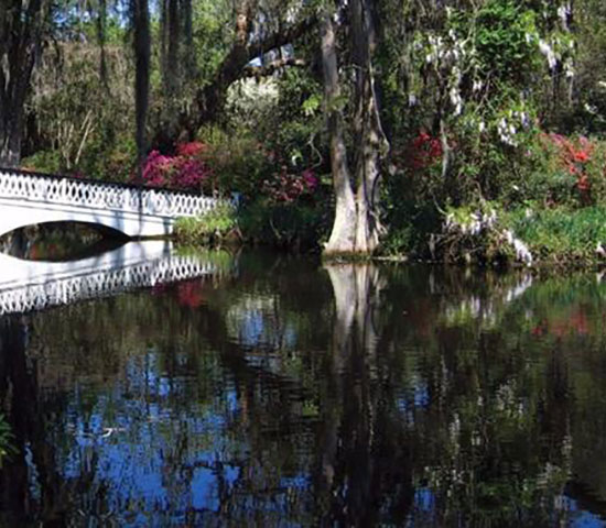 Magnolia Plantation And Gardens