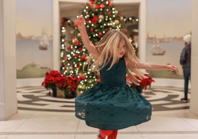 Holiday Splendor
