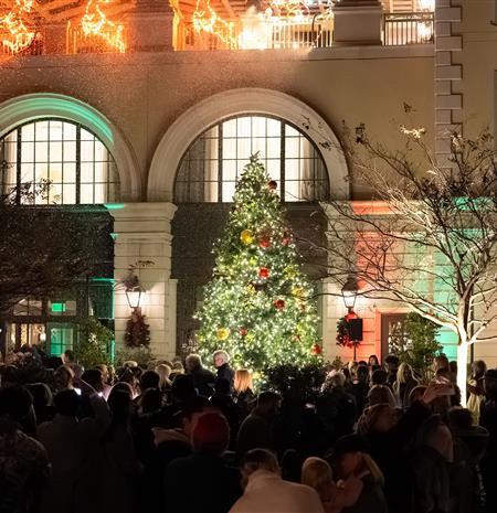Tree Lighting in Charleston