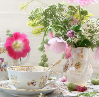 Midsummer in Bloom: Thursday, August 27