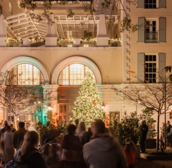 Hotel Bennett Tree Lighting